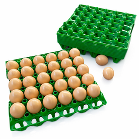 Eiertray voor 30 eieren