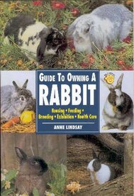 &#039;Guide to owning a Rabbit&#039; Anne Lindsay