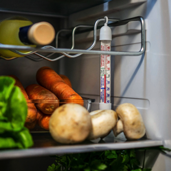 Thermometer voor koelkasten en diepvriezers (-50&deg;C tot +40&deg;C) 17cm