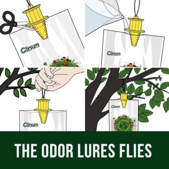 Vliegen vangzak vangt tot 35.000 vliegen