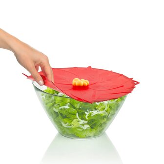 Poinsettia deksel  28cm van Charles Viancin