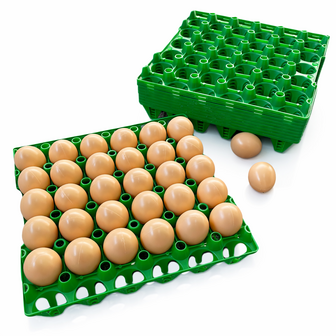 Eiertray voor 30 eieren