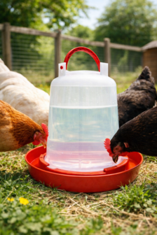 Drinkklok schroef met handvat 3 liter