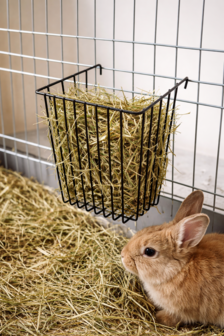 Ruifje metaal 13x18x12cm