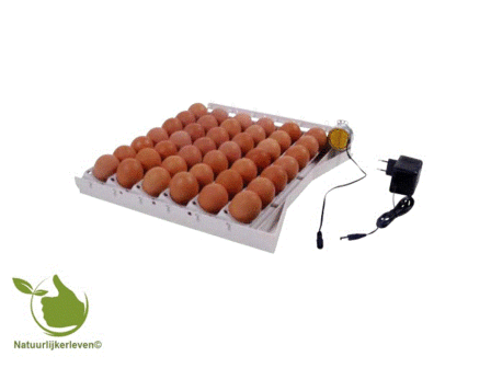 Vollautomatisches Wendesystem f&uuml;r 42 Eier