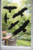 Vogelbeschermende raamstickers