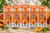 VSYPTO Ice Tea Perzik - wateraromapoeder, 9 g