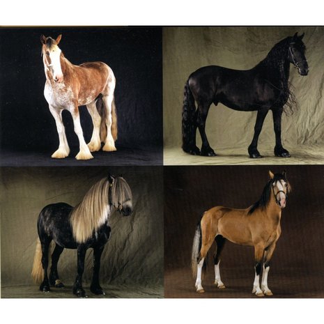 'Paarden'- Liz Wright