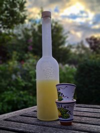 Rezept für 3 Liter leckeres hausgemachtes Limoncello!