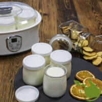 Selbstgemachter Joghurt. Wie macht man es und warum lohnt es sich?