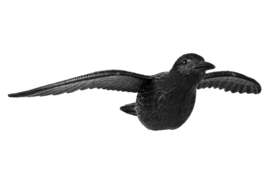 Fliegende Krähe