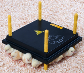 Kükenwärmeplatte 30x30 cm 22Watt