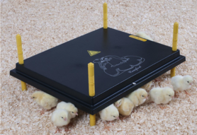 Kükenwärmeplatte 40x50 cm 22Watt