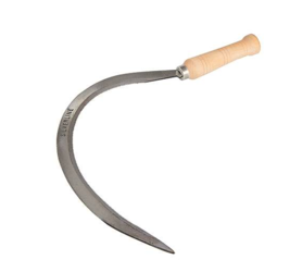 Schilf- und Grassichel