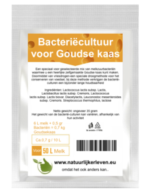 Bakterienkultur für Gouda-Käse