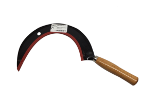 Schilf- und Grassichel