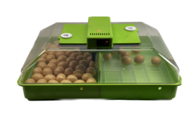 Inkubatormodell NAT60H Standard