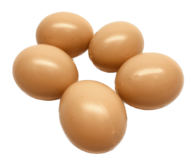 Künstliche Eier 5 Stk