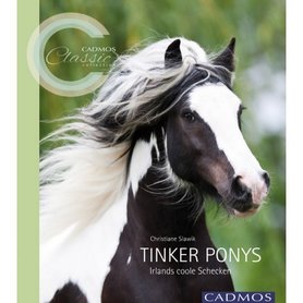 'Tinker Ponys' (Irlands coole Schecken) - Christiane Slawik