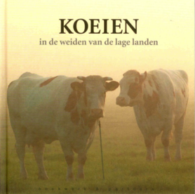 'Koeien'- Reimer Strikwerda