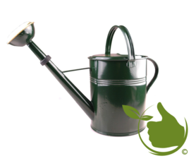 Authentisch grün lackierte Gießkanne 9 Liter mit Messingsprühkopf